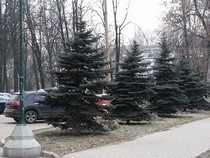 ��� ������� 200 - ����-���� �������� �������� (���������)