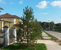 ����� ������������ 300 - ����-���� �������� �������� (���������)