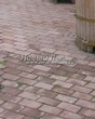 ������� ������� �� ���������� ������ (������� ��������: �������, �����������, ���������� �����) - 146