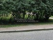 Садовая дорожка из бетона (темная серая тротуарная плитка) - 114