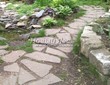 ������� ������� �� ���������-��������� (��� ��� ����������) - 101