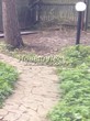 ������� ������� �� ���������-��������� (��� ��� ����������) - 139