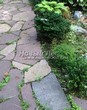 ������� ������� �� ���������-��������� (��� ��� ����������) - 144