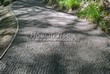 �������� ������� ������� �� ���������� ������ - 119