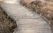 ���������� ������� ������� �� ����� (������ �� ������) - 101