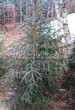 ���������� ��������: ������� ��� ������������ � ������ � ����������� ������ �������� �������