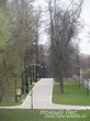 200-летние деревья, посаженные в аллею (Москва, Царицынский парк)